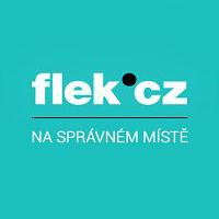 Logo Flek.cz